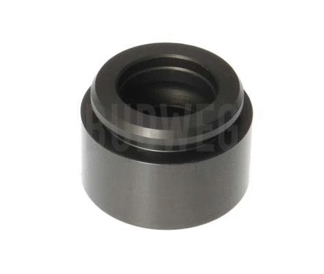 Piston, brake caliper (234429)