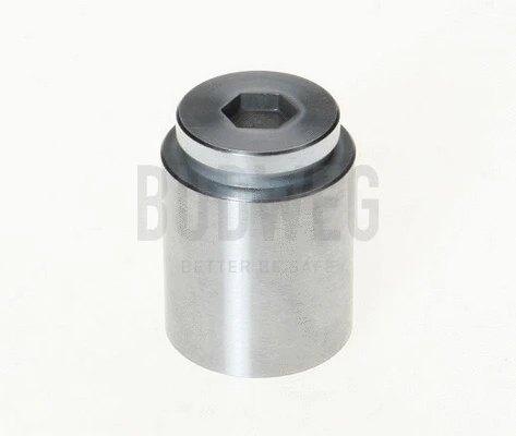 Piston, brake caliper (233604)
