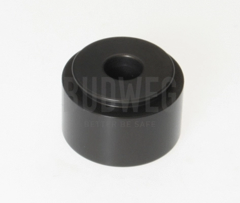 Piston, brake caliper (234430)