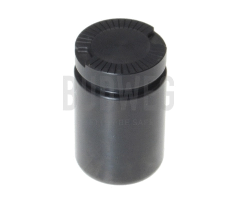 Piston, brake caliper (233434)