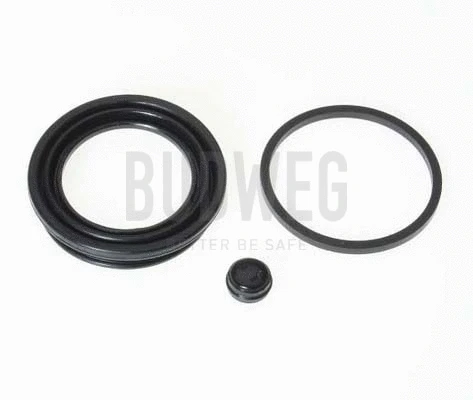 Seal, brake caliper piston (189946)