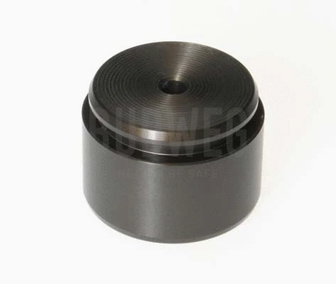 Piston, brake caliper (234420)