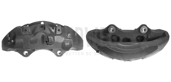 Brake Caliper (344763)