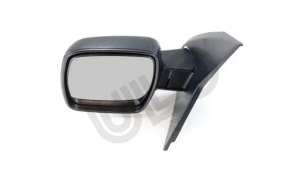 Exterior Mirror (3065005)