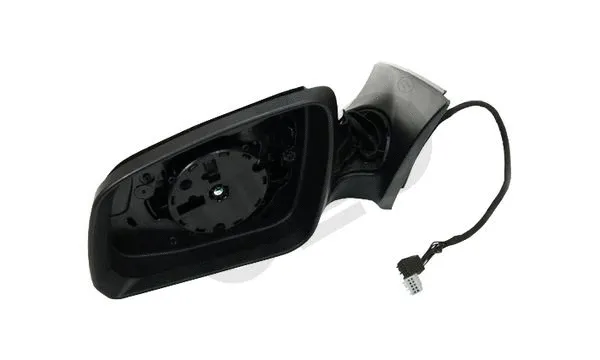 Exterior Mirror (3099001)