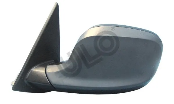 Exterior Mirror (3125301)