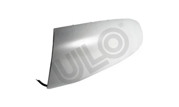 Cover, exterior mirror (3071003)