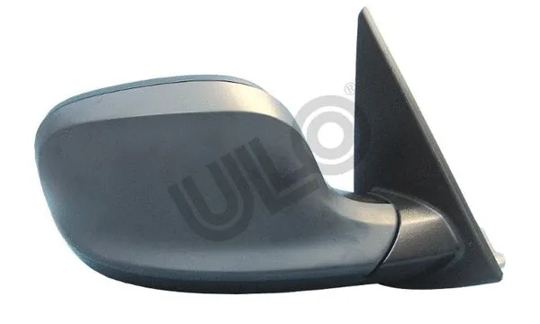 Exterior Mirror (3125302)