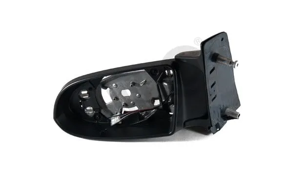 Exterior Mirror (3071009)