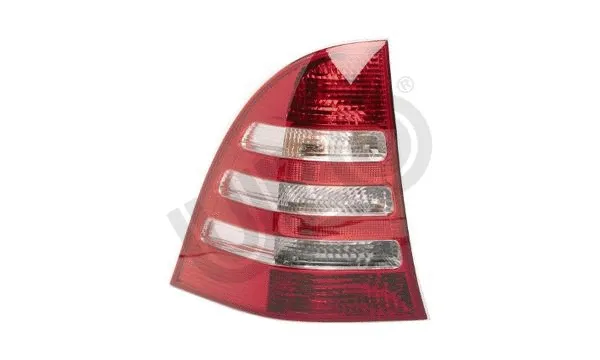 Tail Light Assembly (1004001)