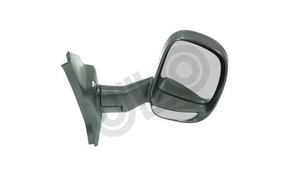 Exterior Mirror (3059024)