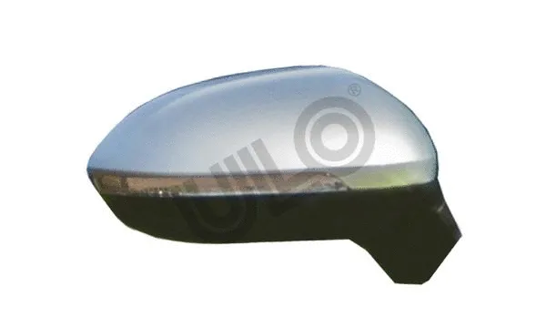 Exterior Mirror (3130302)
