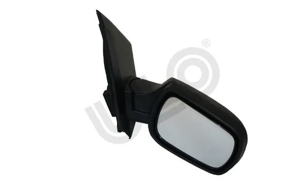 Exterior Mirror (3012004)