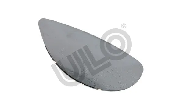 Mirror Glass, exterior mirror (3058004)