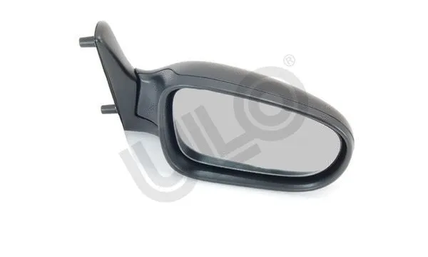 Exterior Mirror (3060032)