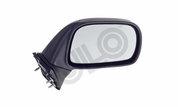 Exterior Mirror (3002008)