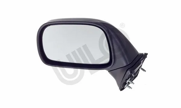 Exterior Mirror (3002007)