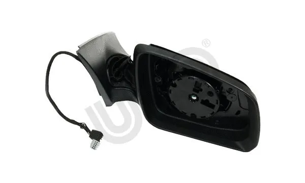 Exterior Mirror (3099002)