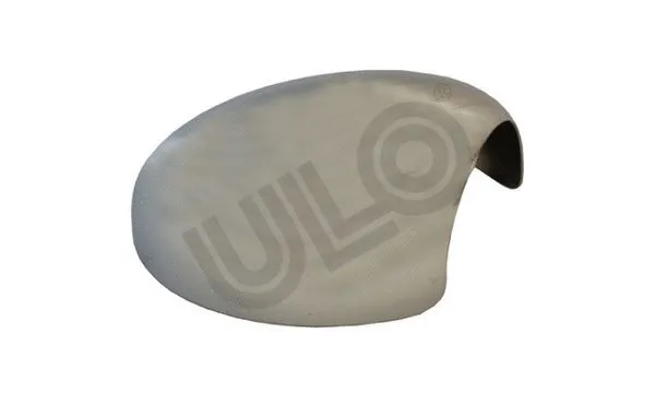 Cover, exterior mirror (3070006)