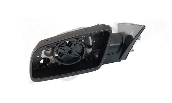 Exterior Mirror (3055009)