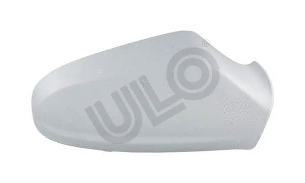Housing, exterior mirror (3001024)