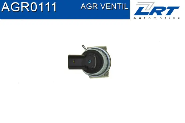 EGR Valve
