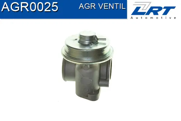 EGR Valve