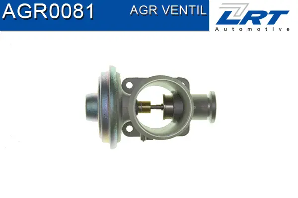 EGR Valve