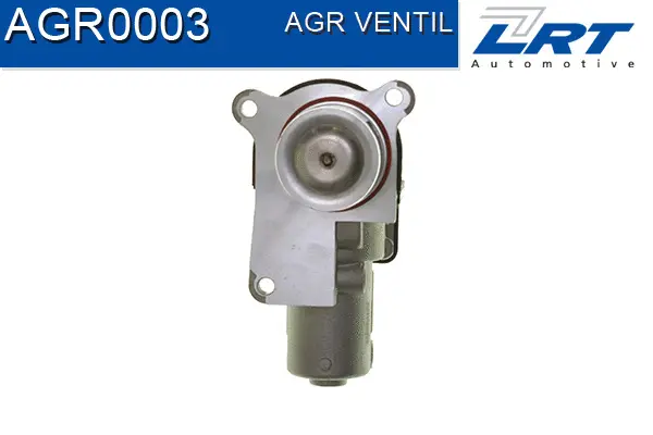 EGR Valve