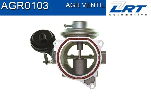 EGR Valve