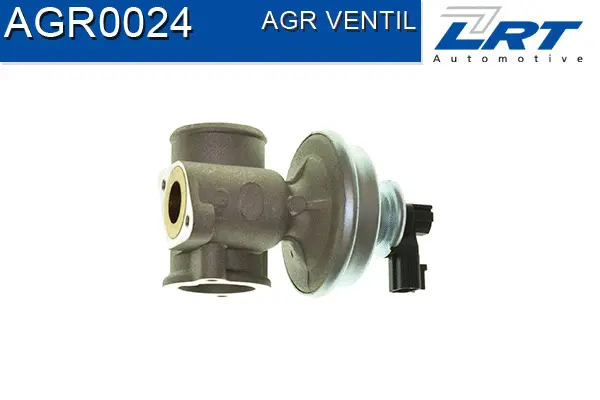 EGR Valve
