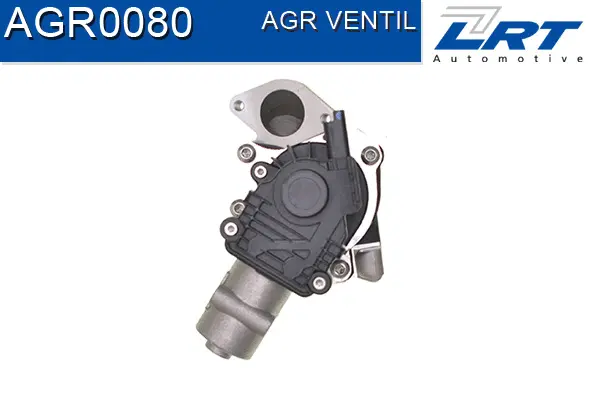 EGR Valve