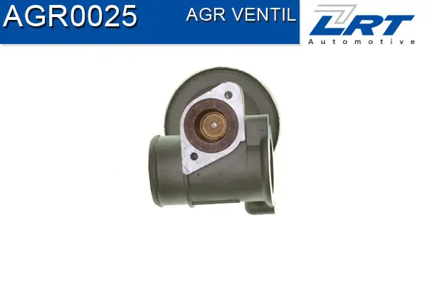 EGR Valve