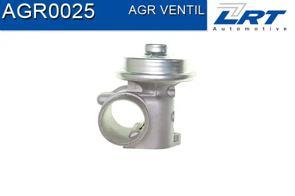 EGR Valve