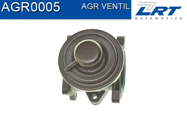 EGR Valve