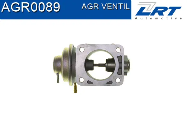 EGR Valve