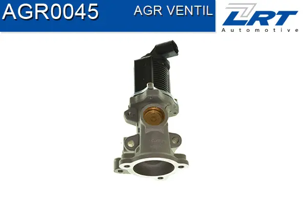 EGR Valve