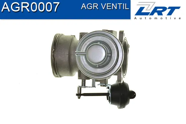EGR Valve
