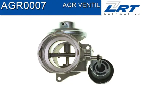 EGR Valve
