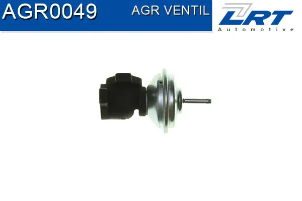 EGR Valve