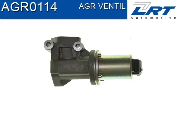 EGR Valve