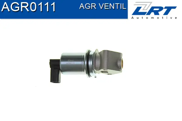 EGR Valve