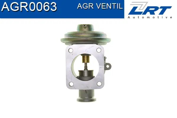 EGR Valve
