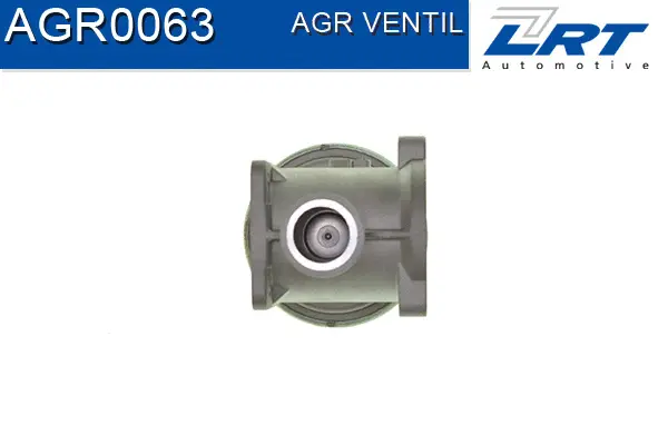 EGR Valve