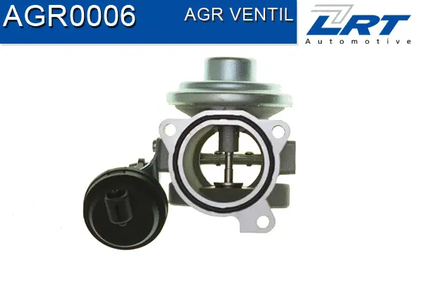 EGR Valve