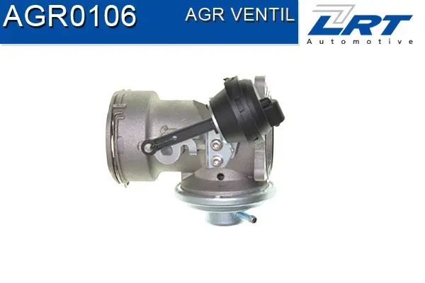 EGR Valve