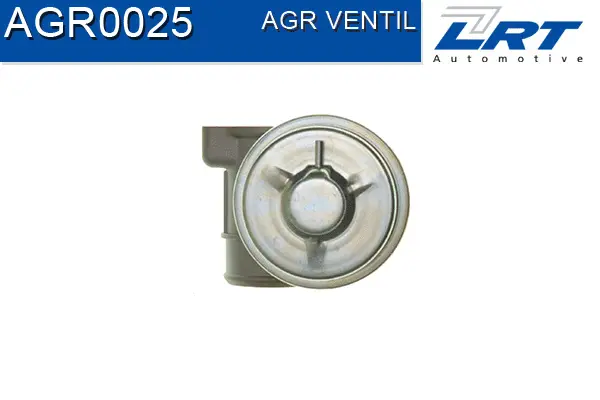 EGR Valve