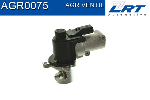 EGR Valve
