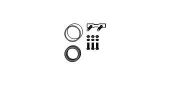 Mounting Kit, catalytic converter (82 13 2620)
