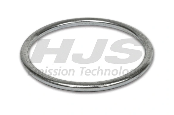 Seal Ring, exhaust pipe (83 43 7862)
